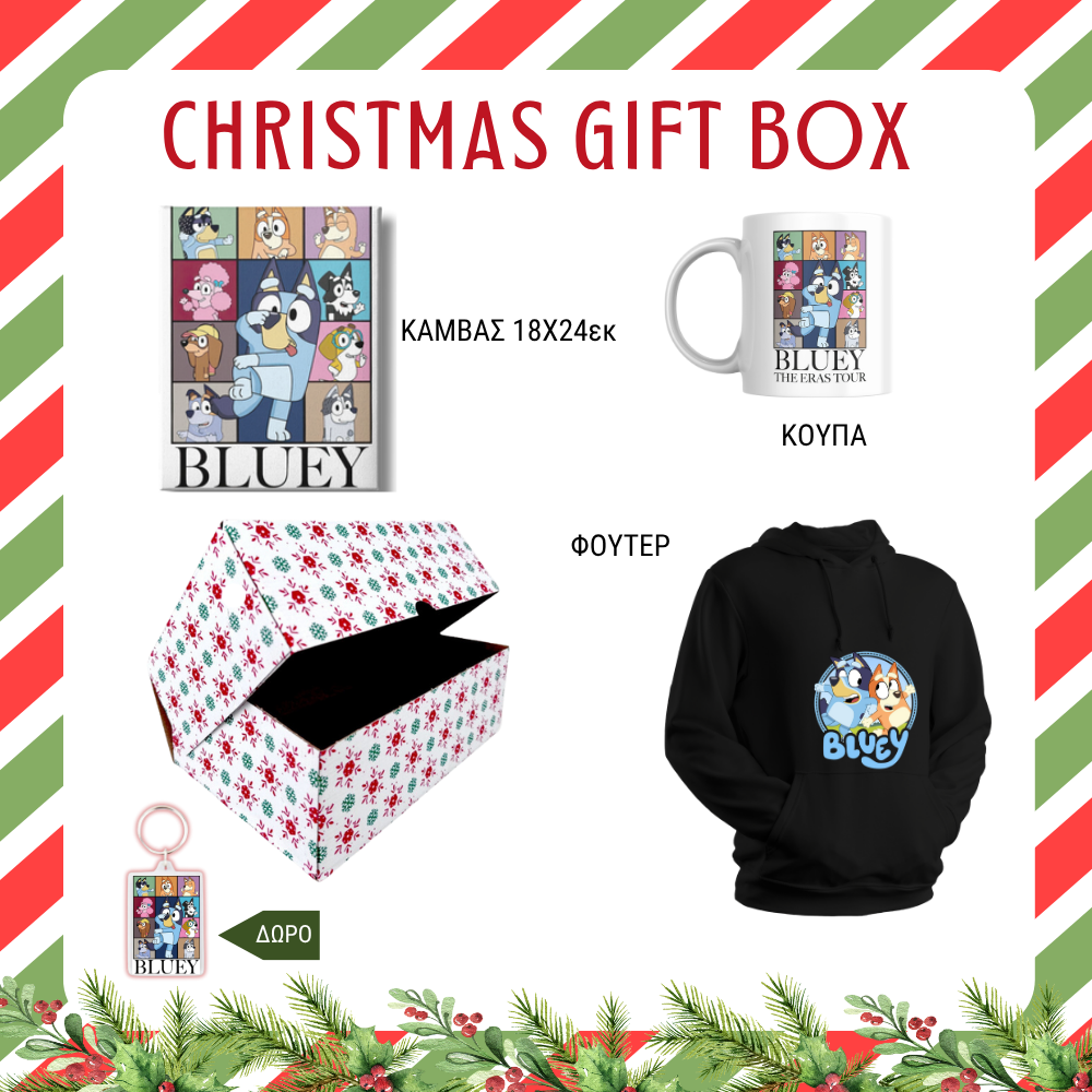 Bluey Christmas GIFT BOX