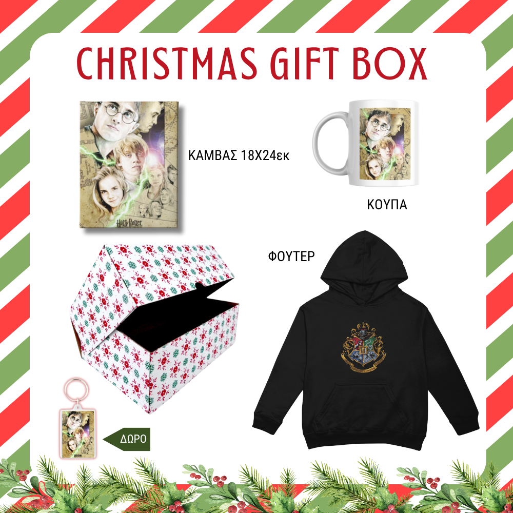 Harry Potter CHRISTMAS GIFT BOX