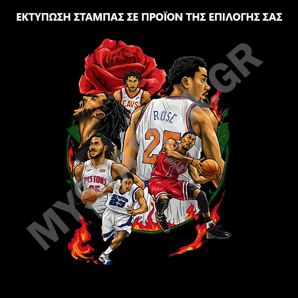 ΣΤΑΜΠΑ NBA (505-8404)